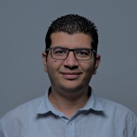 Ahmed H. Ismail