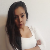 Paola Katerin Vidal Alvarez