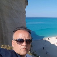 mauro porcaro