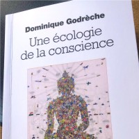 Dominique Godrèche