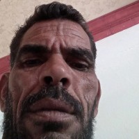 فيصل قاسمي