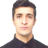 Araz Elizade