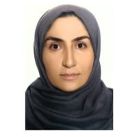 Farzaneh Karami