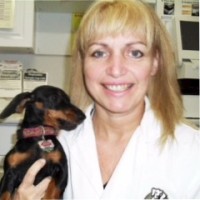 Martine Holland