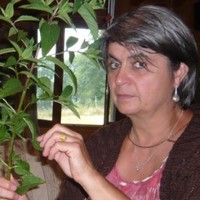 Béatrice Hamel