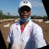 Peter Wachira