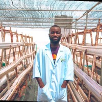 ADEWALE ADEPOJU