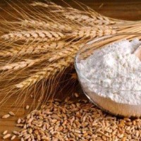 Harvest International