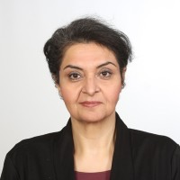Fariba Faghihi