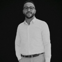 Ali M.Salem