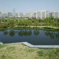 李伯平