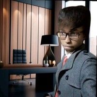 Johnson Dash Flarnstenn