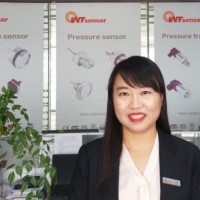 WT sensor Lisa Lee pressure sensor