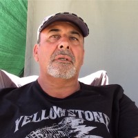 Peter J Taylor