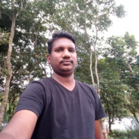 Balasubramanian D