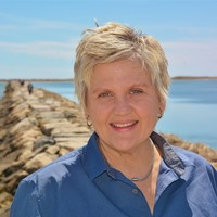 Cindi Webb