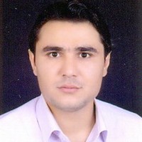 MAJID SAFARI