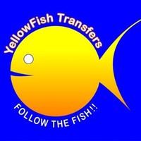 YellowFish Transfers