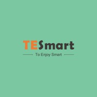 Mercury Tesmart