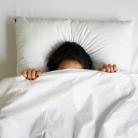 BestSleep Bedco