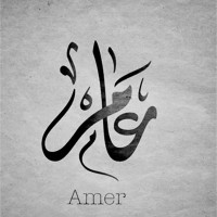 Amer Alfaqiri