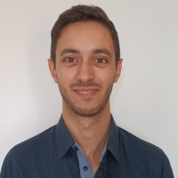 Davide Manzoni