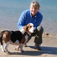 Terri Hess