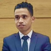 Hamza Salih