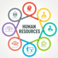 Human Resource