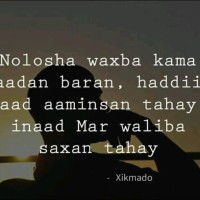 Ahmed Elmi