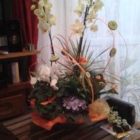 marie-christine bence