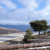 Palatidou Elen