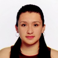 DIANA YISELA CHITIVA MORA
