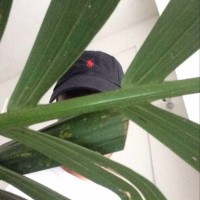 Beniamino Petroselli