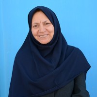Razieh Alirezaee