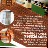 Romario P V