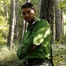Davut Sayar