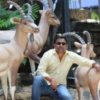 Mohan Vamsi