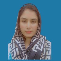 Amr Malik