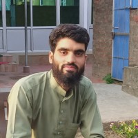 Bhat Aamir