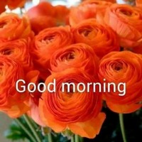 Yogesh Wawale