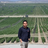 Carlos Alberto Gamboa Llerena