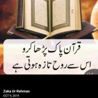 Online Quran Academy