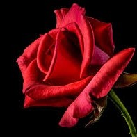 Annmary Jose