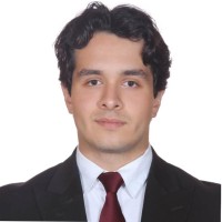 Marcelo Andrés Tamez Garza