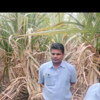 Anand Devaramani