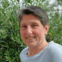 Liesbeth Van Der Lippe