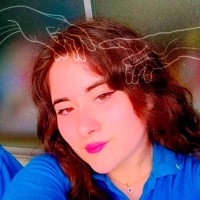 JOSEFINA AURORA ORELLANA VELOSO