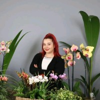 Ayşenur BOZ