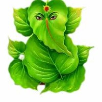 Vikash Choudhary